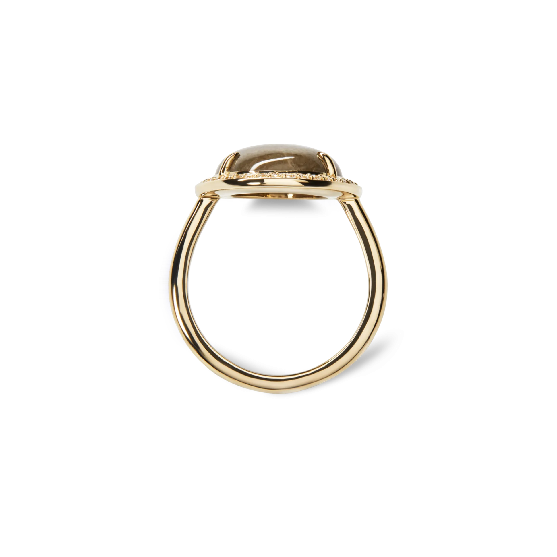 Diamond Pave Oval Petoskey Ring