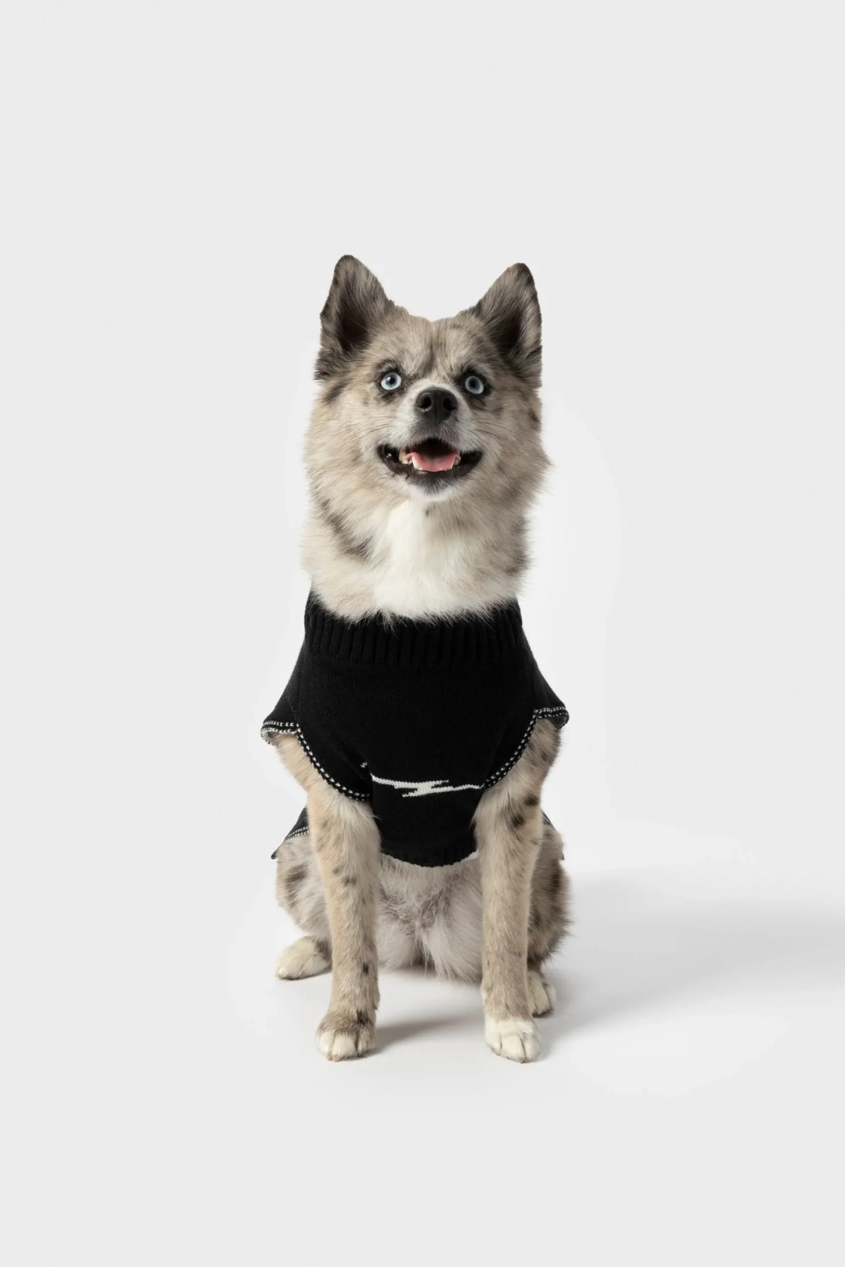Dog Sweater