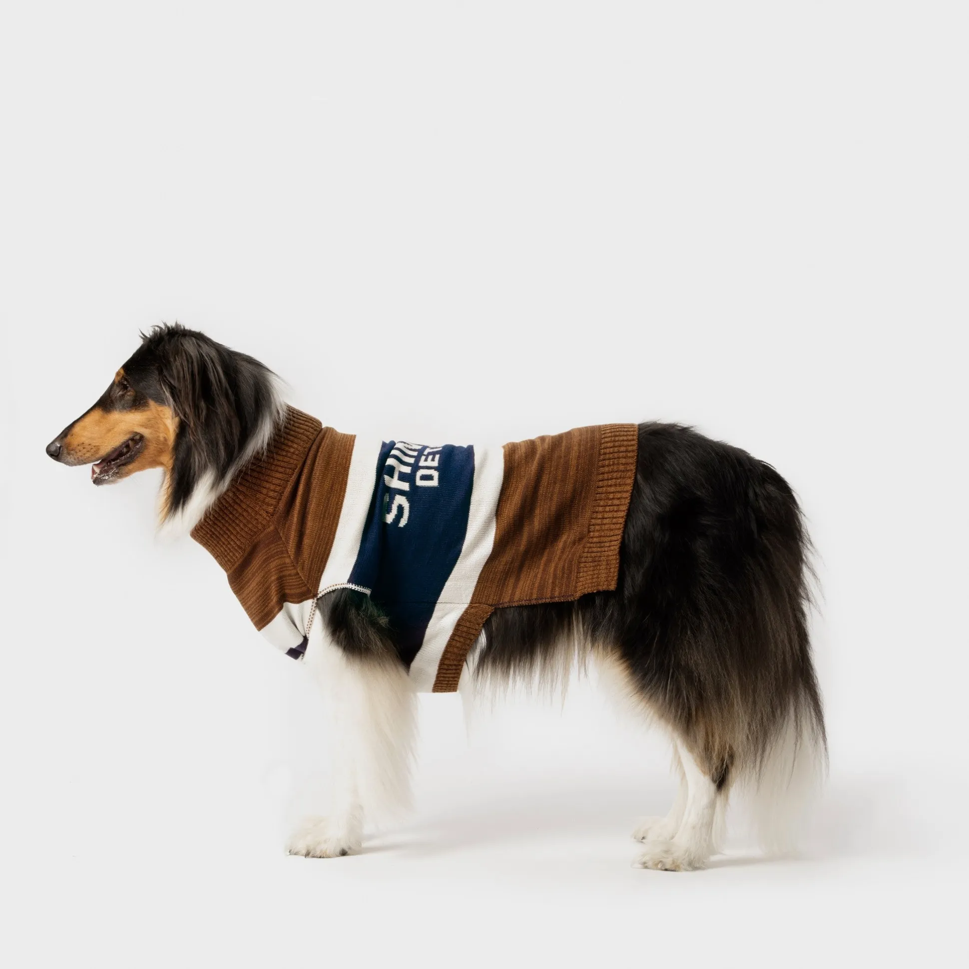 Dog Sweater