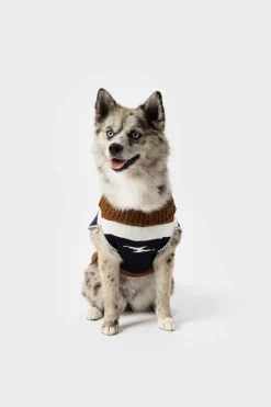 Dog Sweater