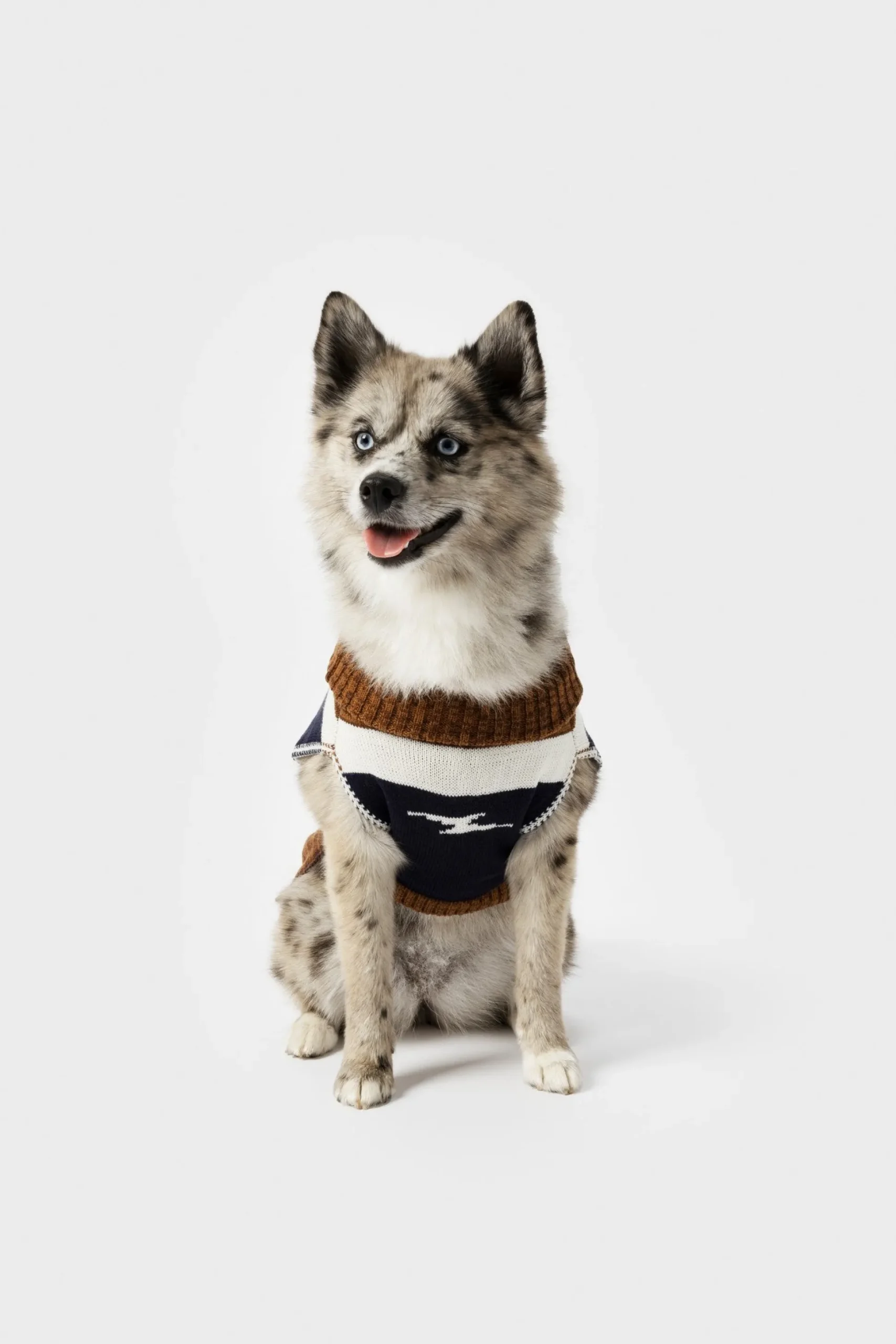 Dog Sweater